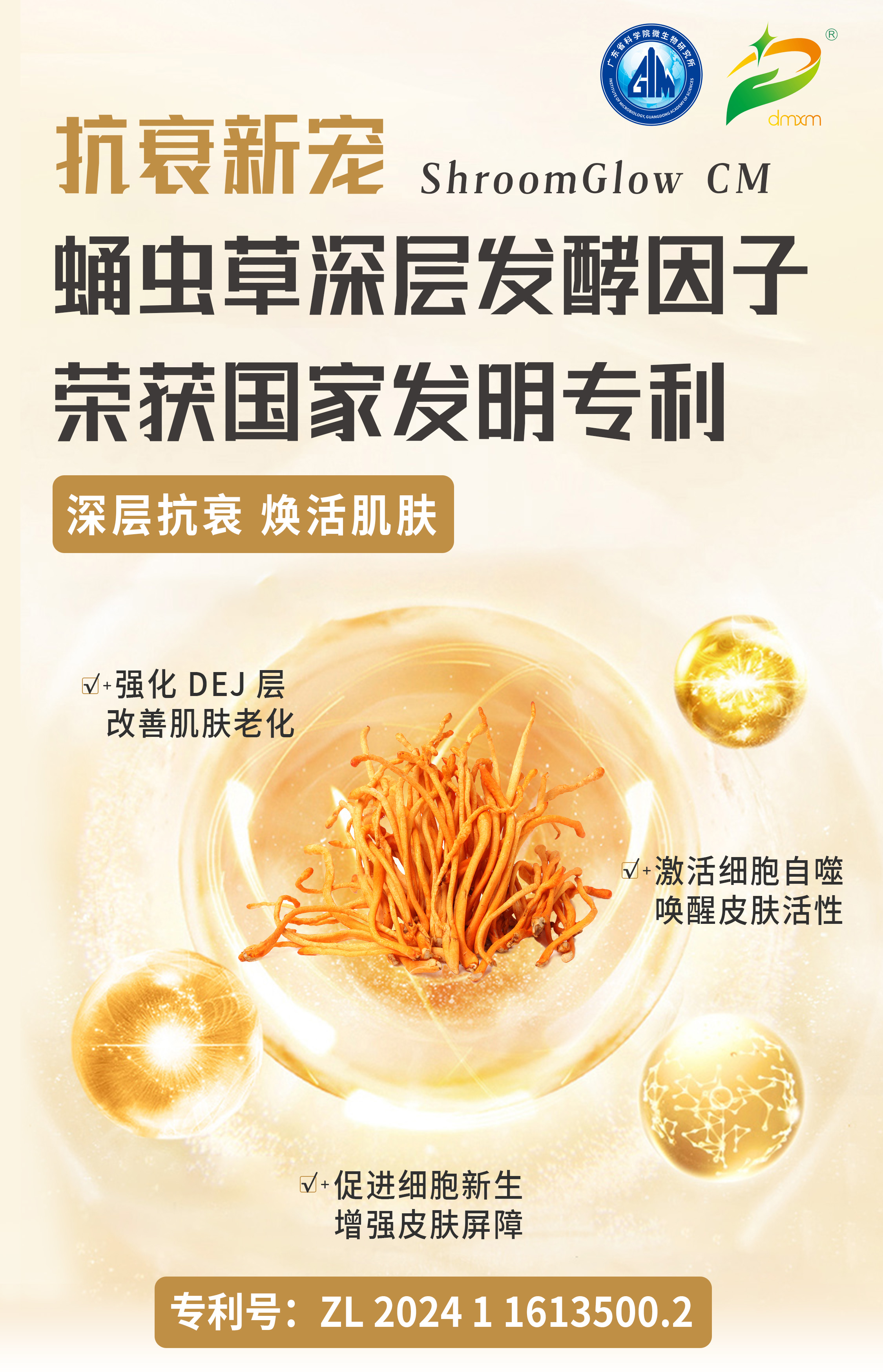 蛹蟲(chóng)草專(zhuān)利推文首圖.jpg